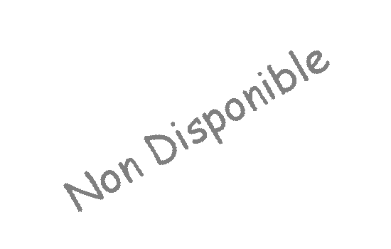 non-disponible_reduit.png